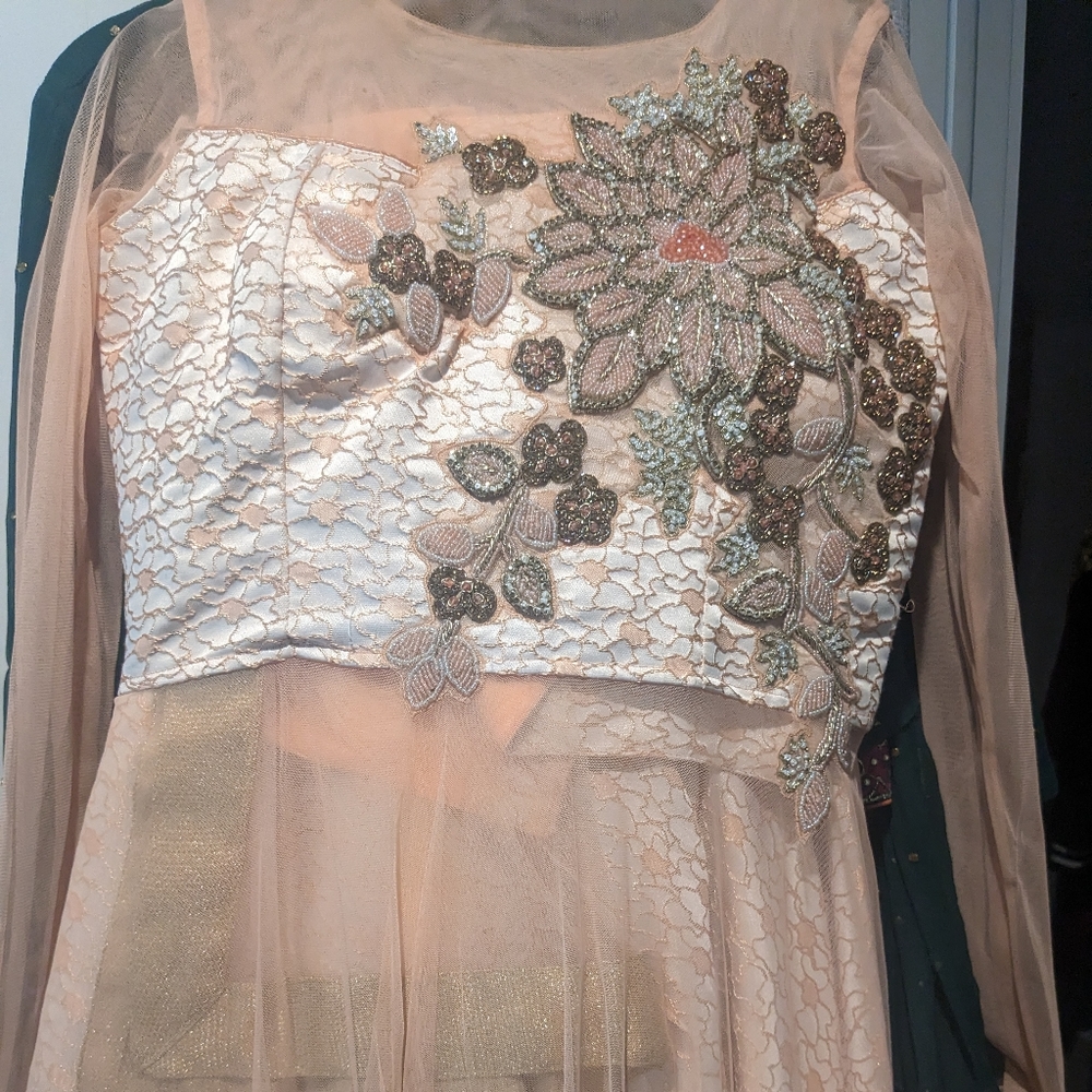 Pakistani/ indian party wear lehnga